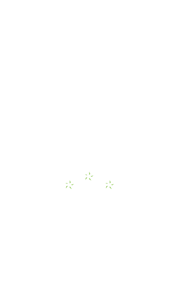 Wieloletnie doświadczenie w branży drewnianej