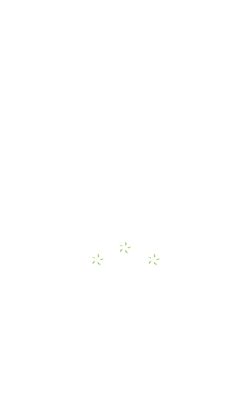 DIE LANGJÄHRIGE ERFAHRUNG IN DER HOLZBRANCHE